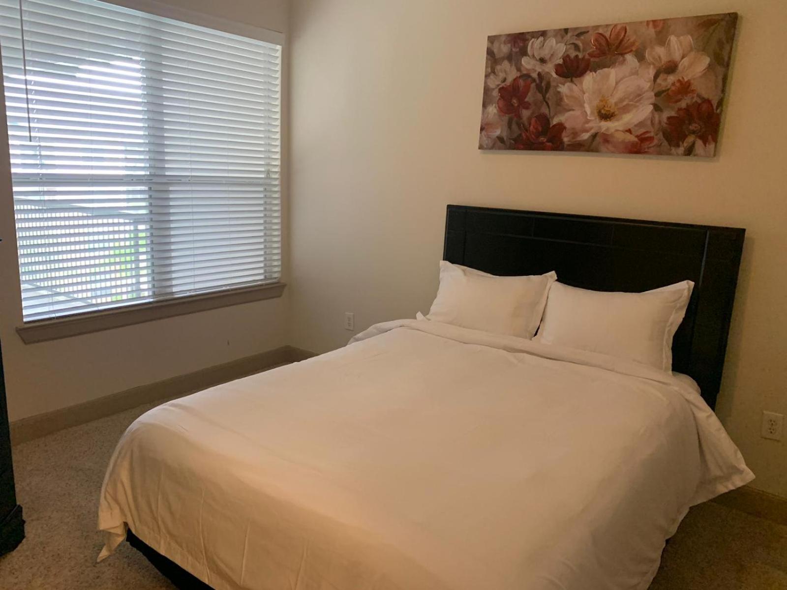Gorgeous Furnished Apartments Near Texas Medical Center & Nrg Stadium Houston Værelse billede