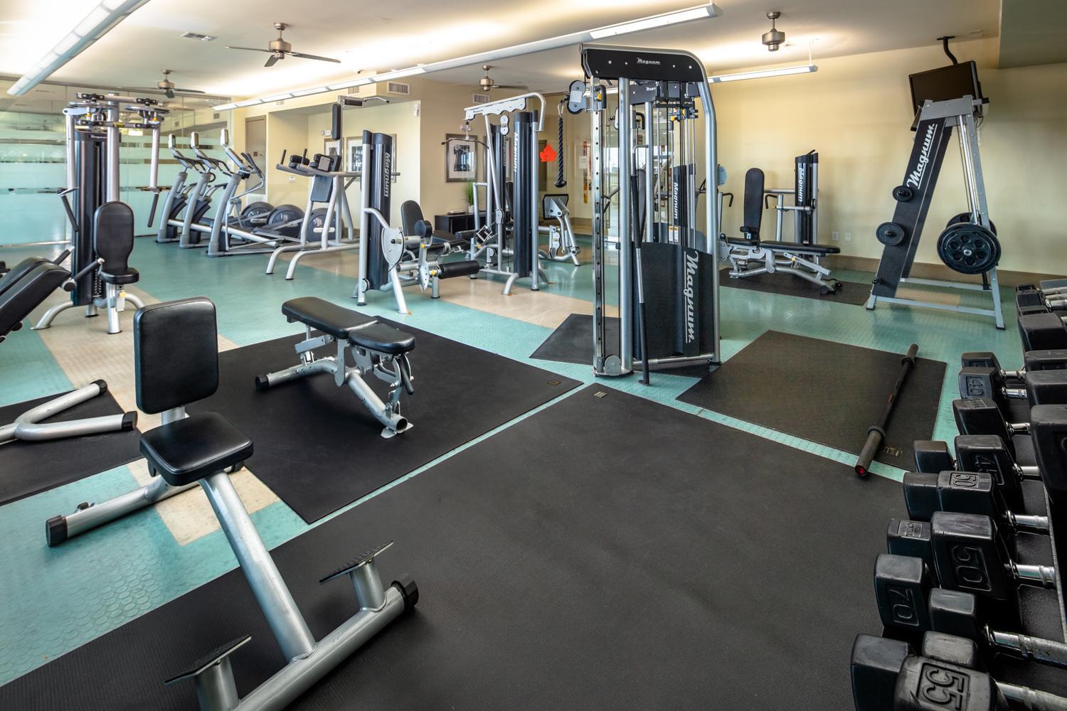 Gorgeous Furnished Apartments Near Texas Medical Center & Nrg Stadium Houston Eksteriør billede