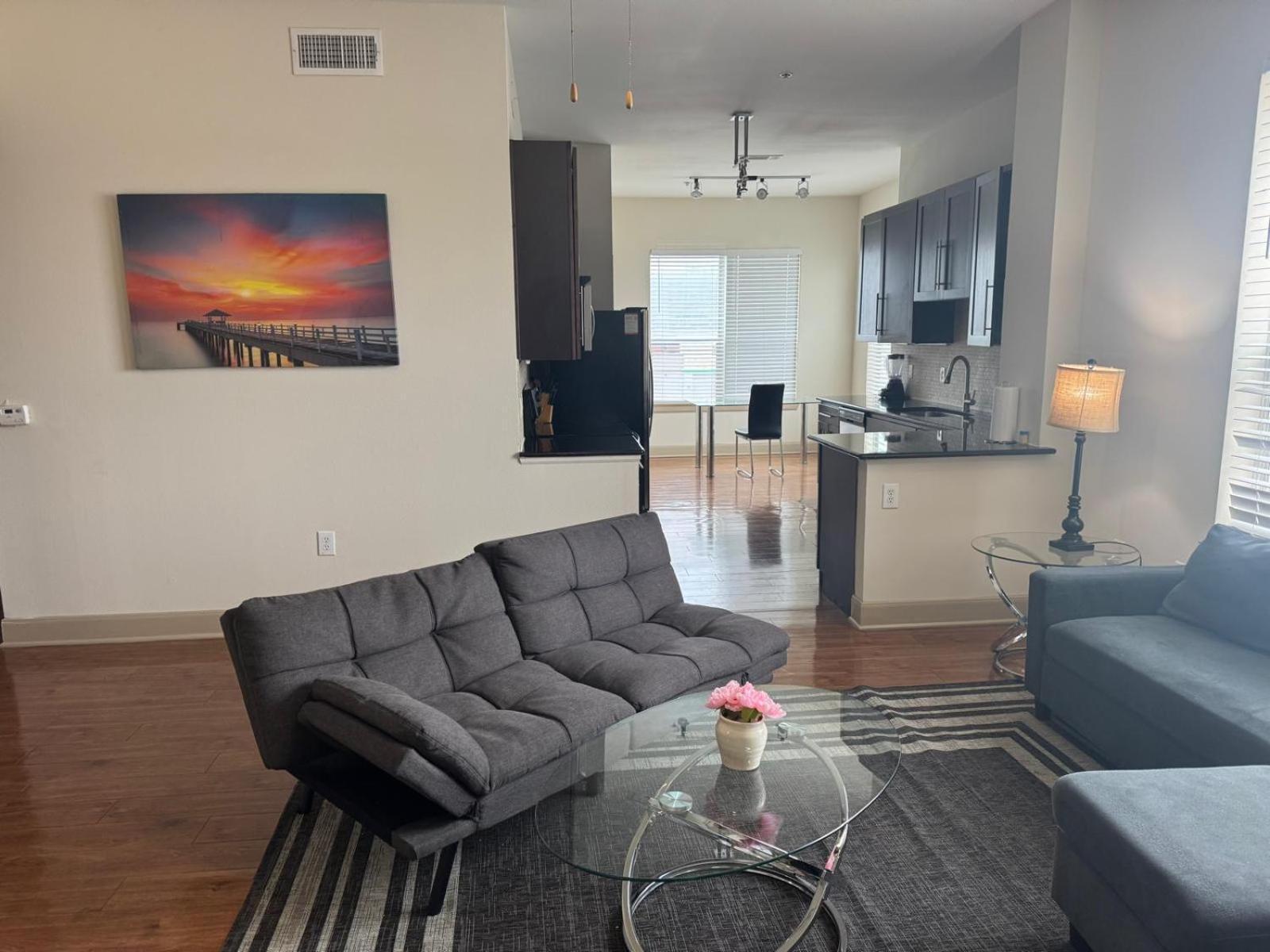 Gorgeous Furnished Apartments Near Texas Medical Center & Nrg Stadium Houston Værelse billede